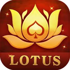 download teen patti apk download